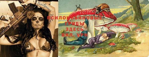 гидра Аркадак