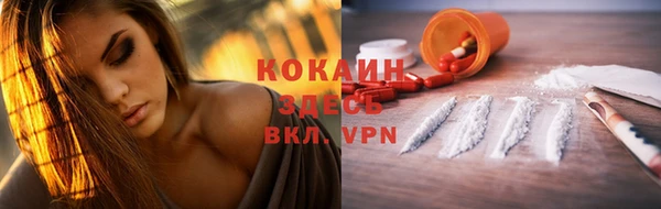 гидра Аркадак