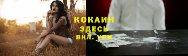 apvp Арсеньев