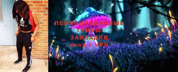apvp Арсеньев