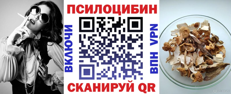 blacksprut маркетплейс  Покров  Псилоцибиновые грибы Psilocybe  купить закладку 